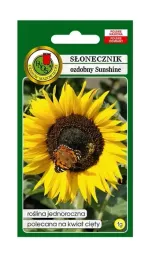 slonecznik-ozdobny-sunshine-zolty-1-g-pnos-ozarow