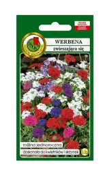 werbena-zwieszajaca-sie-mieszana-02-g-pnos-ozarow