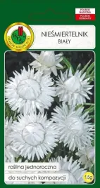 niesmiertelnik-bialy-1-5-g-pnos