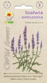 szalwia-omszona-nasiona-02-g-miododajna