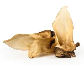 balto-ucho-sarny-5szt