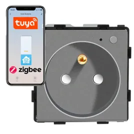 modul-gniazda-elektrycznego-z-bolcem-230v-zigbee-szary