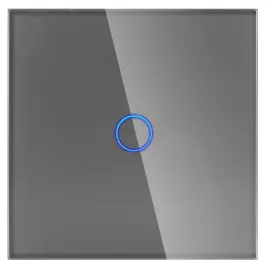panel-szklany-pojedynczy-1g-szary-dc-smart-home