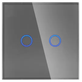panel-szklany-pojedynczy-2g-szary-dc-smart-home