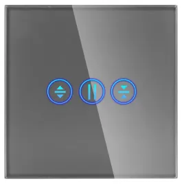 panel-szklany-pojedynczy-rolet-szary-dc-smart-home