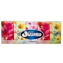 chusteczki-higieniczne-100-sztuk-slonik-jumbo-10x10-delikatne-miekkie-biale