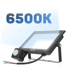 naswietlacz-led-50w-czujnik-ruchu-6500k-lampa-zewnetrzna-ip66