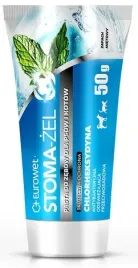 stoma-zel-mietowy-pasta-do-pielegnacji-uzebienia-psow-i-kotow-tubka-50g