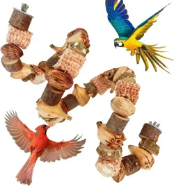 zabawka-dla-papug-do-jedzenia-kolba-kukurydzy-naturalna-drazek-do-zucia