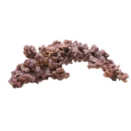 caribsea-liferock-arches-original-907-kg-ozywione-luki-skalne-do-aquascapi