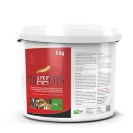 maggots-5kg