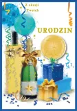 karnet-dk-1223-urodziny-wymienne-cyfry