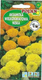 aksamitka-wielkokwiatowa-niska-mieszana-0-5-g-polan