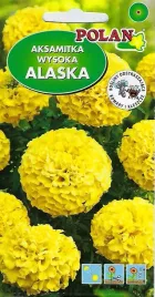 aksamitka-wysoka-pelna-alaska-cytrynowa-2-g-polan
