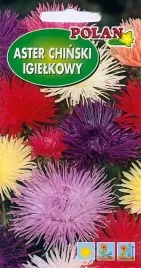 aster-igielkowy-zestaw-kolorow-1-g-polan