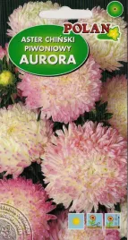 aster-piwoniowy-aurora-bialorozowy-1-g-polan
