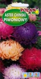 aster-piwoniowy-zestaw-kolorow-1-g-polan