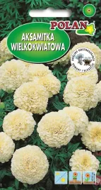 aksamitka-wielkokwiatowa-niska-biala-0-5-g-polan