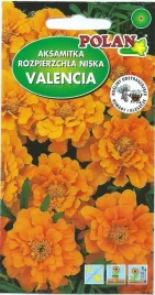 aksamitka-pelna-valencia-1-g-polan