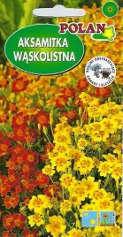 aksamitka-waskolistna-mieszanka-talizman-0-5-g-polan