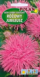 aster-igielkowy-jubileusz-1-0-2-g-polan