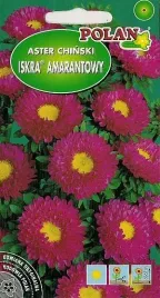 aster-polpelny-iskra-amarantowy-1-g-polan