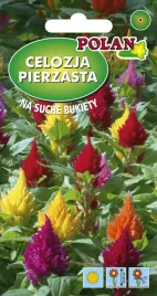 celozja-pierzasta-niska-mieszana-0-2-g-polan
