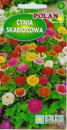 cynia-skabiozowa-mieszanka-1-g-polan