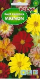 dalia-mignon-mieszanka-2-g-polan