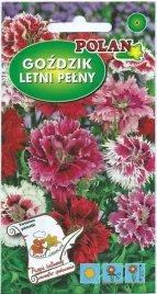 gozdzik-letni-mieszany-1-g-polan