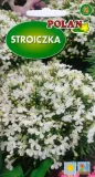 lobelia-stroiczka-biala-0-3-g-polan