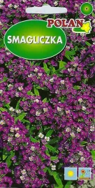 smagliczka-royal-carfert-1-g-polan