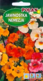 nemezja-karneval-mieszana-1-g-polan