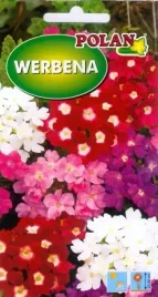 werbena-mieszana-0-5-g-polan