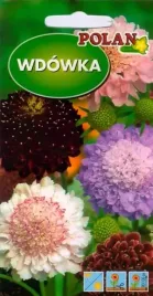 wdowka-mieszana-2-g-polan