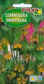 czarnuszka-orientalna-2-g-polan