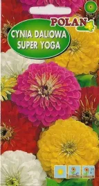 cynia-daliowa-super-yoga-1-g-polan