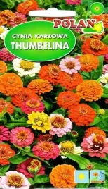 cynia-karlowa-thumeelina-miesza-1-g-polan