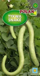 dynia-ozdobna-tykwa-snake-2-g-polan