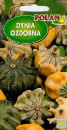 dynia-ozdobna-crown-of-thorns-5-g-polan