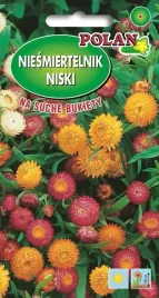 niesmiertelnik-niski-kocanka-mieszanka-1-g-polan