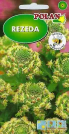 rezeda-wonna-2-g-polan