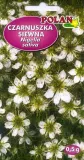czarnuszka-siewna-05-g-polan