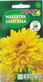 nagietek-santana-zolty-3-g-polan