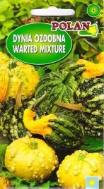 dynia-ozdobna-warted-mieszana-5-g-polan