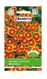 aksamitka-rozpierzchla-marietta-1-g-plantico