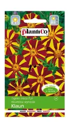 aksamitka-wyniosla-klaun-1-g-plantico