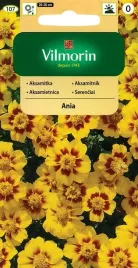 aksamitka-rozpierzchla-pojedyncza-ania-1-g-vilmorin