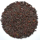 gorczyca-czarna-ziarno-500-g