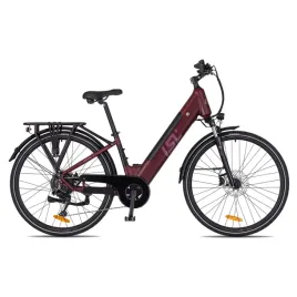 rower-elektryczny-miejski-insportline-eclion-kola-28-bateria-18ah-bafang